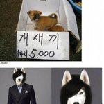 게놈프로젝트!!!!(열라웃김)-<b>중복</b>이면죄송-
