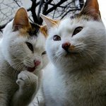 <b>사모님</b> 좋은땅있습니다 ㅋㅋㅋㅋㅋㅋㅋㅋ