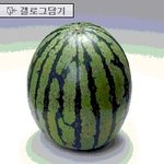이...이게 <b>수박</b>이야 가슴이야?