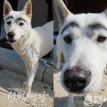 나마지<b>막판</b>쓰고잘래