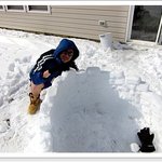 [사진有]외국친구들이랑 이글루를 만들었어요.