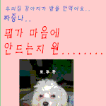 강아지들의 가족사이야기..<b>탐구</b>생활편