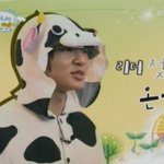 <b>헬로</b>베이비 베스트샷~