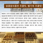 혀끝에서 녹아내리는 달콤쌉싸름한 초콜릿, 벨기에 초콜릿!