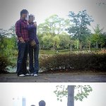 고속도로서 사고나 <b>폐차</b>시켰습니다...ㅠㅠ도와주세요