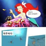 서양에 <b>인어</b>가 있다면 한국엔 요게 있다?!!