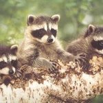 술 때문에 생긴 최대 굴욕!