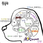 ★청춘불패 뇌구조 <b>ii</b> + 가축★