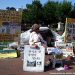 [워싱턴 d.c.] # 나홀로 여행기