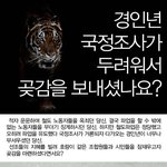 인터넷을 달군 허준영 곶감 파문