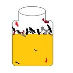 애완용으로 안키워본게 없어요! 바퀴벌레까지