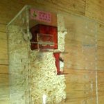 <b>팬더</b>마우스(햄스터) 따지고 보면 공포 -실화