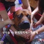 개웃<b>김</b> ㅋㅋ <b>진짜</b> 와서 빵터진다  [낚시아님]