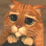 판에있는 모든 <b>사람</b>들 봄미다!! 꼭 봄미다!!!!<b>별</b>두개나 달았다