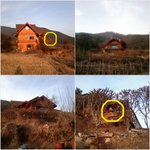 [사진첨부]개 잡는 개, 무서운 세상!!