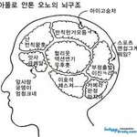 <b>반칙</b>왕 오노 ㅡㅡ뇌구조