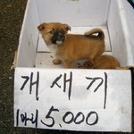 캔유<b>필마</b>핱빝?