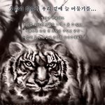 이명박 1144억 조카 세뱃돈