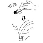 파리(벌레)는 무슨 맛일까요?