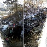 사진有>이번 설날 가족을 잃을뻔 했습니다~