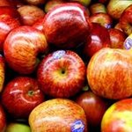 아이의 건강을 위해 알아두어야 할 필수요소 <b>top</b> 5 !!