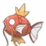 내이름은 <b>잉어</b>킹 내예길 들어볼래?