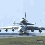 보이스 피싱을 피싱한 우리 父