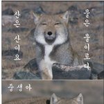 ★사랑합니다~쏠로들~♥컴온~★