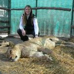 겁을 상실한 사람들과 <b>동물원</b>?