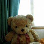 이런 곰인형 보셨어요?