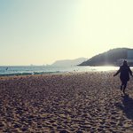 [사진有]혼자 바다로 떠난 친구