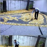 판<b>식구</b>여러분들.....