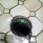 오 쒯.. 빠지라는 살은 안빠지고........