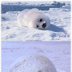 판땜에 <b>큰일</b>이예요
