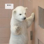 청담동 클럽에서 <b>오크</b>여자랑 부킹했어요.