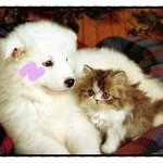 이건 사람이 할짓이 못되는....