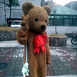사진有)<b>숙녀</b>가 곰돌이탈쓰고 활보하다.