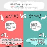 ,,,,,,,,,,,,     고양이상 <b>여자</b> <b>vs</b> 강아지상 <b>여자</b>