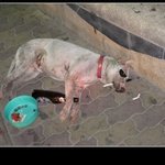 태국 <b>walking</b> street에서 그녀모르면 간첩!?