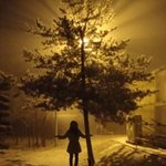 사진有 동생평가해주세요