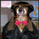 남친은 왕 <b>욕쟁이</b>라는거 모르삼?