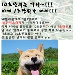 모두가 좋아할 <b>소식</b>~!!!! 3월1일부터 시작한데요~ㅎㅎ