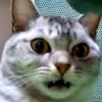 여자의 뒷모습은 믿을수없다