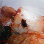 김치를 사먹었는데... <b>끔찍</b>합니다!! 인증샷!