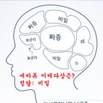 육<b>피엠</b> 뇌구조