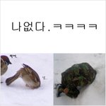 <b>참새</b>와나