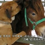 운영자님 <b>도배</b>글 어떻게 안되나요 ?