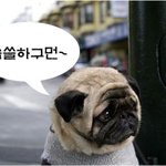 부러우면 지는거다.. 솔로여서 더 행복하고 특별한 화이트데이!!