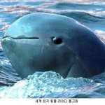 많이 볼수 없는 희귀한 <b>동물</b>들~