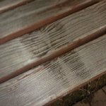 23살여자가 <b>똥오줌</b>을못가려요